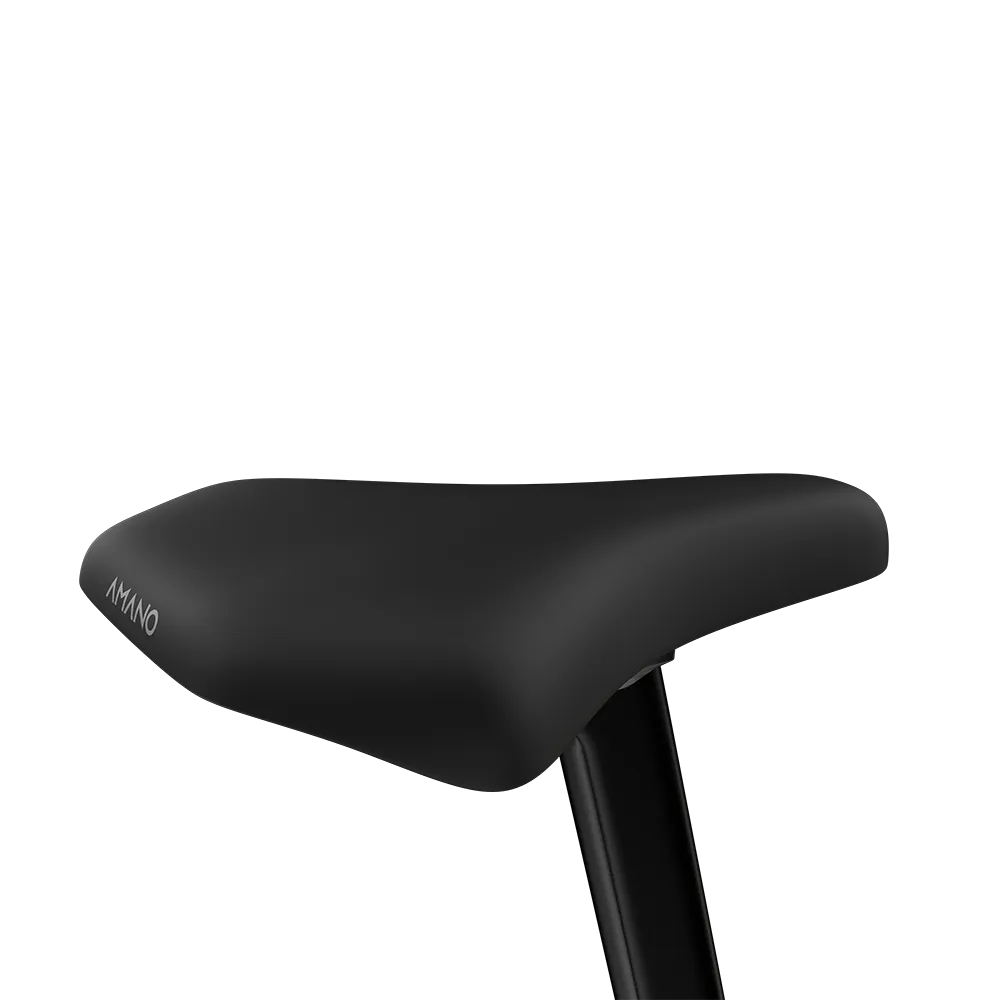 AMANO® S900 Vélo électrique 25 km/h