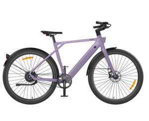 Brume Violette